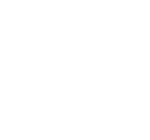 Logo Iricav 2 bianco