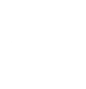 Logo Port Authority bianco